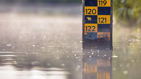 Water level scale in the water. Photo: AbobeStock